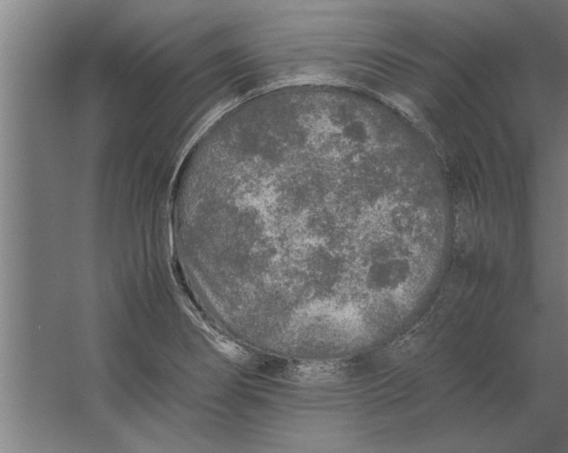 X0000062171274200512301636