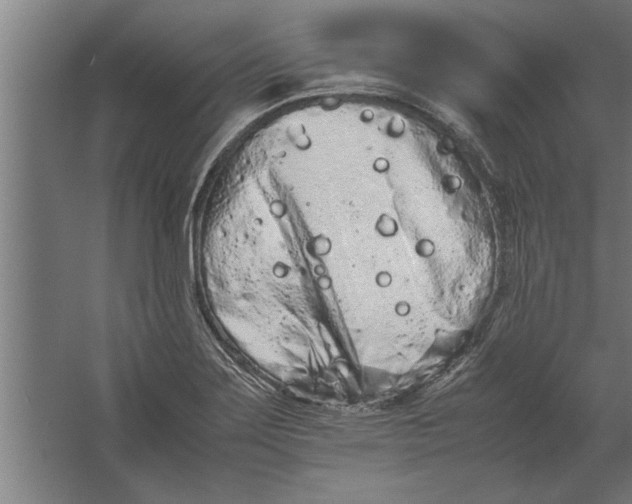 X0000062171275200512301636