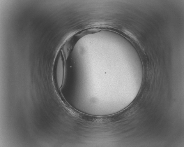 X0000062171277200512301636