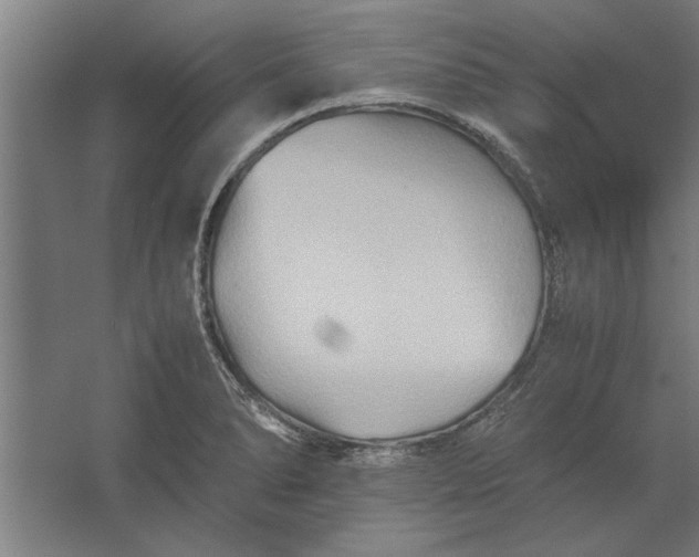 X0000062171278200512301636