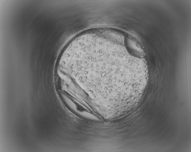 X0000062171279200512301636