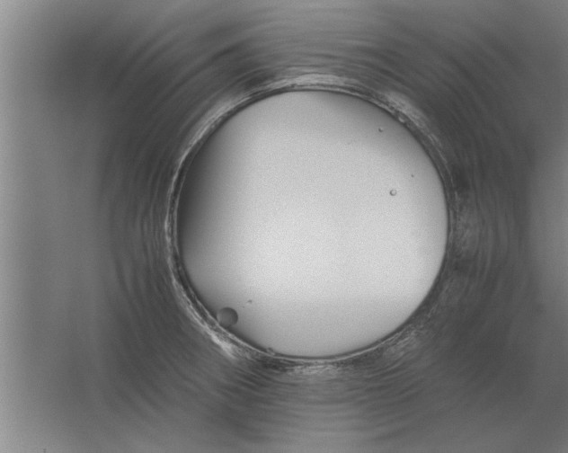 X0000062171282200512301636