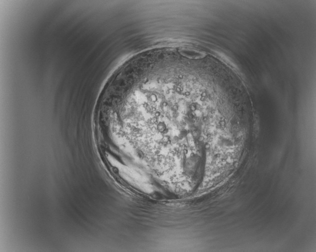 X0000062171283200512301636