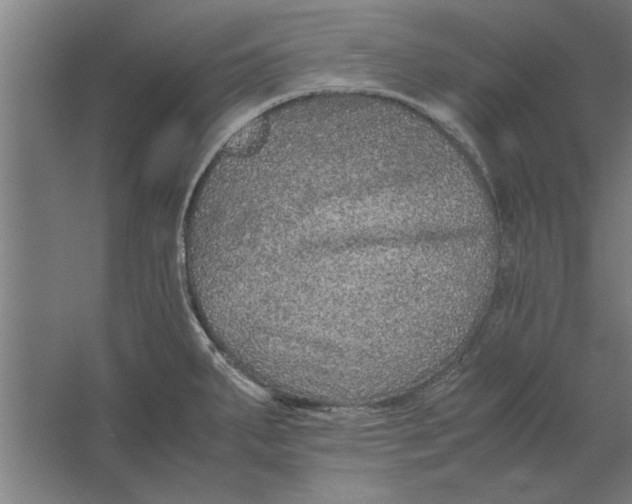 X0000062171287200512301635