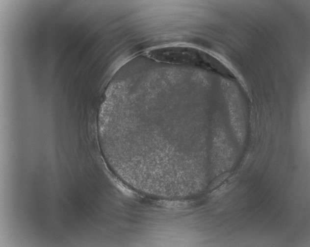 X0000062171289200512301635