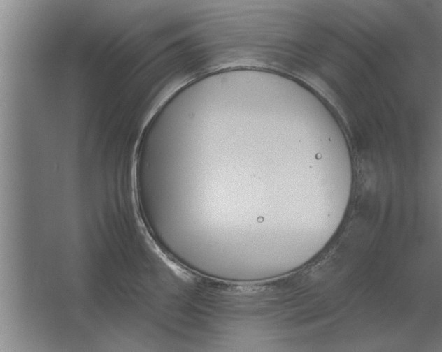 X0000062171290200512301635