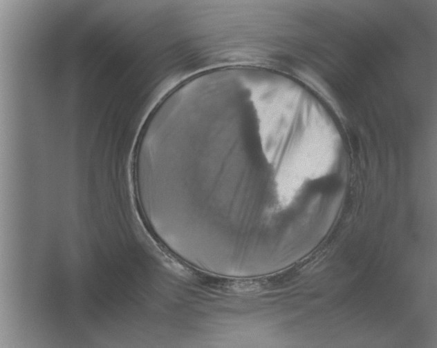 X0000062171291200512301635