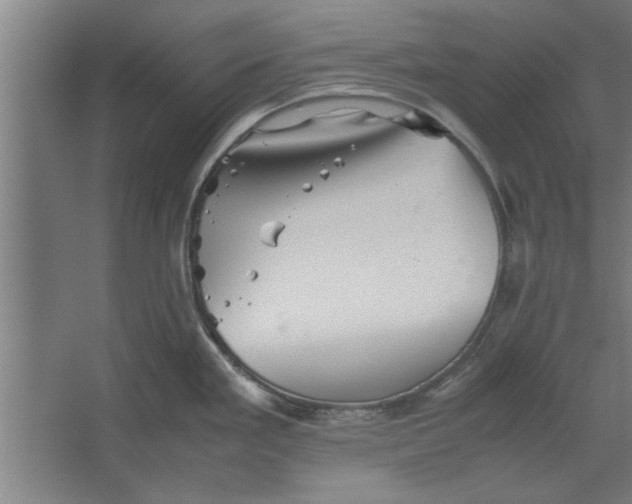 X0000062171293200512301635