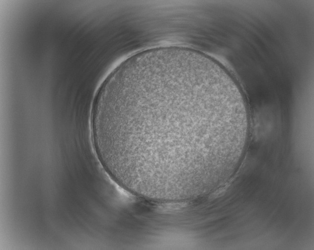 X0000062171294200512301635