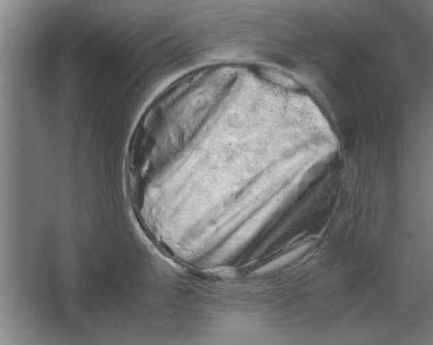 X0000062171295200512301635