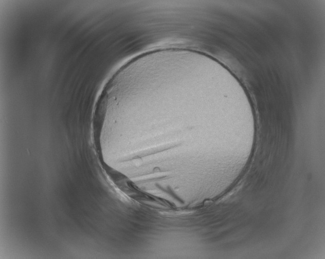 X0000062171296200512301635