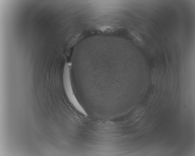 X0000062171298200512301635