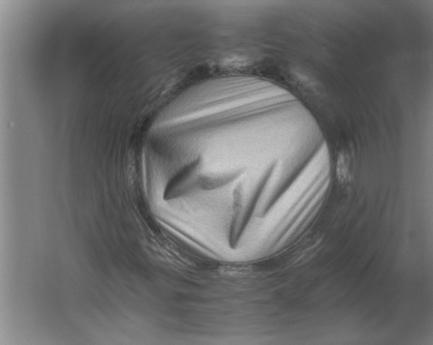 X0000062171299200512301635