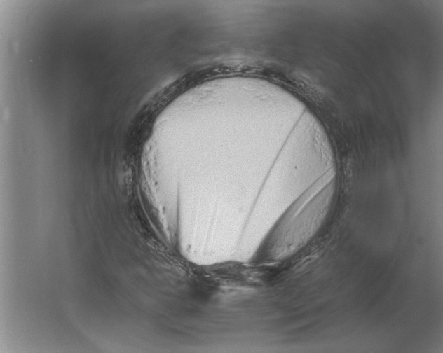 X0000062171302200512301635