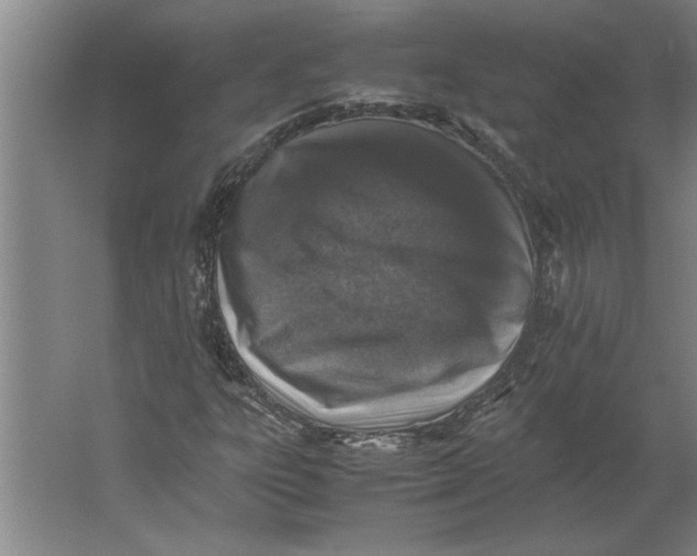 X0000062171303200512301635