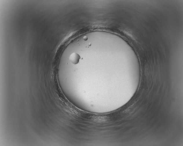 X0000062171309200512301635