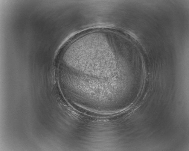 X0000062171310200512301635