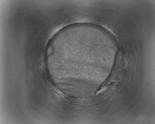 X0000062171311200512301635