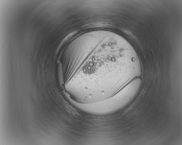 X0000062171314200512301635