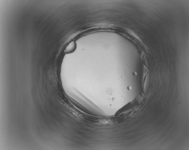 X0000062171315200512301635