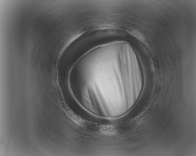 X0000062171317200512301635