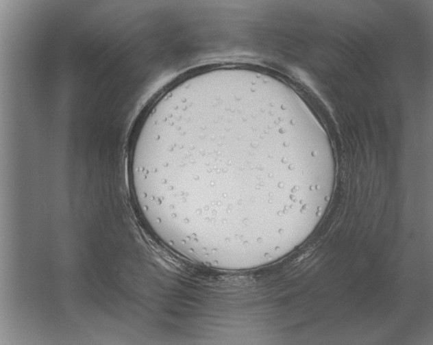 X0000062171320200512301635