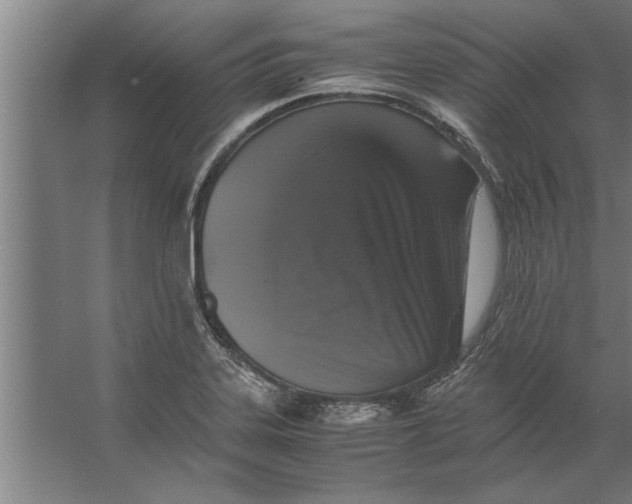 X0000062171323200512301635