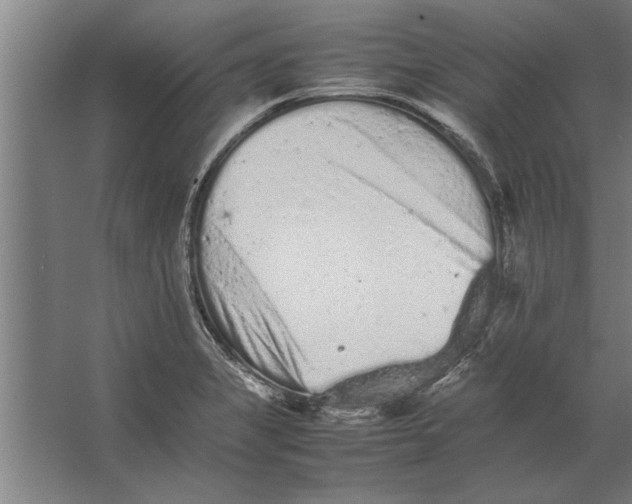 X0000062171325200512301635