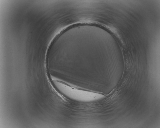 X0000062171327200512301635