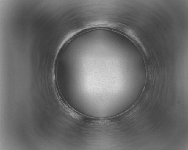 X0000062171328200512301635