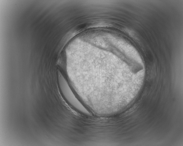 X0000062171329200512301635