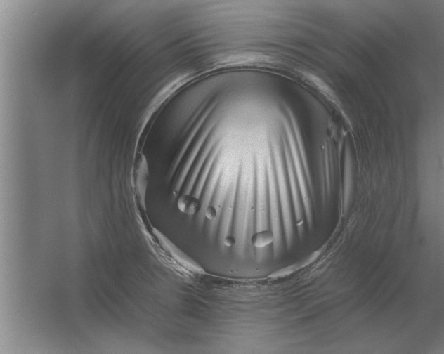 X0000062171330200512301635