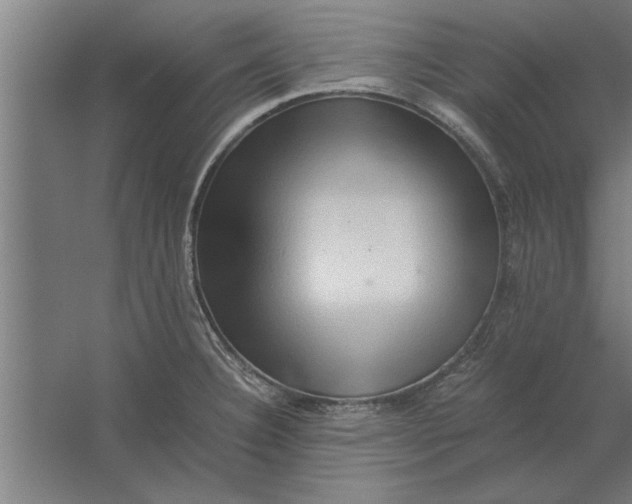 X0000062171332200512301635