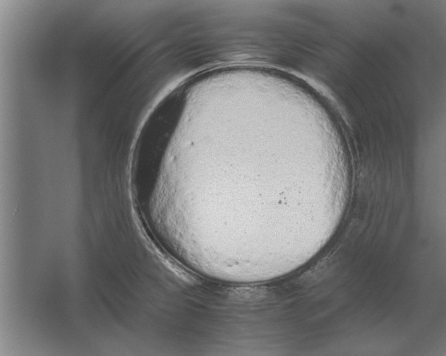 X0000062171333200512301635