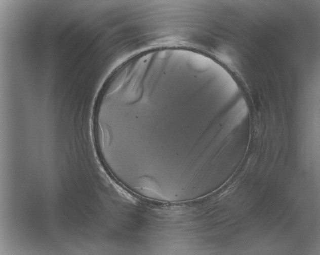 X0000062171334200512301635