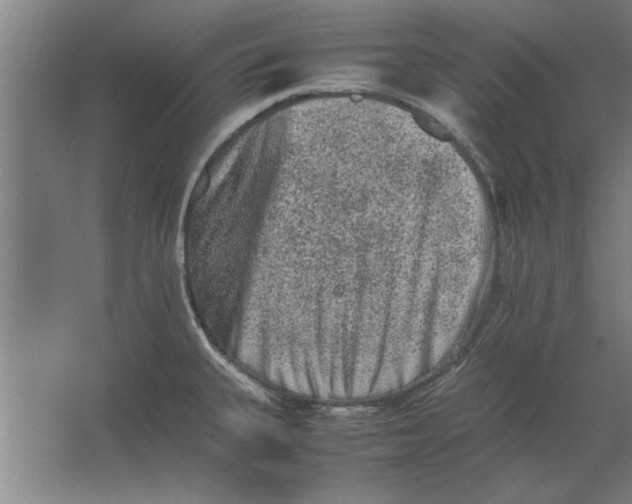 X0000062171335200512301635