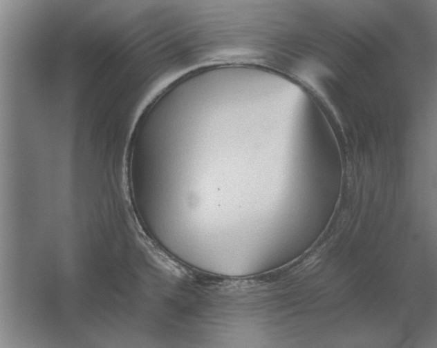 X0000062171336200512301635