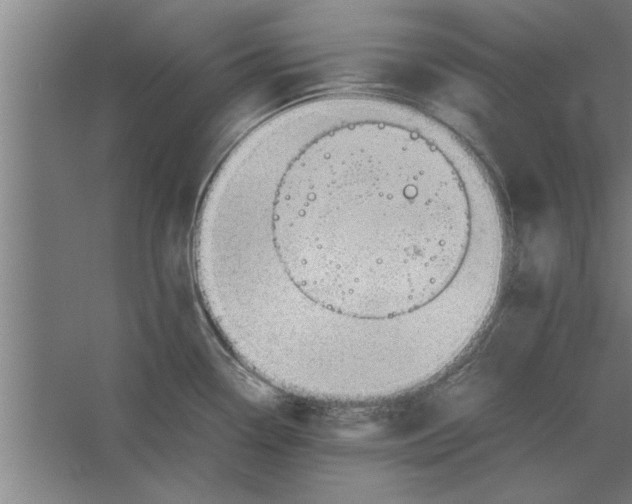 X0000062171338200512301635