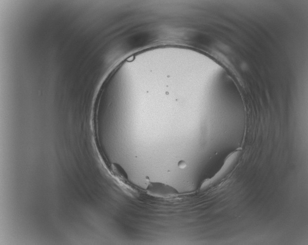 X0000062171339200512301635