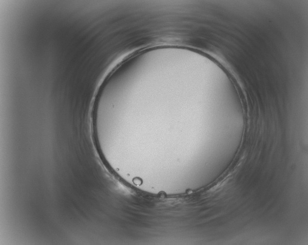 X0000062171341200512301635