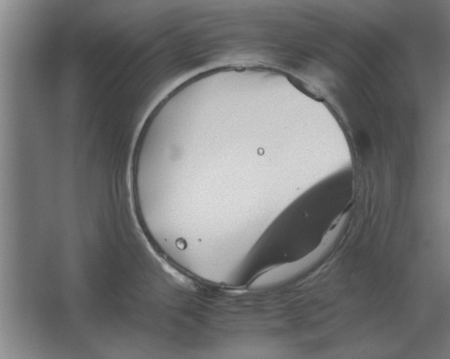 X0000062171343200512301635