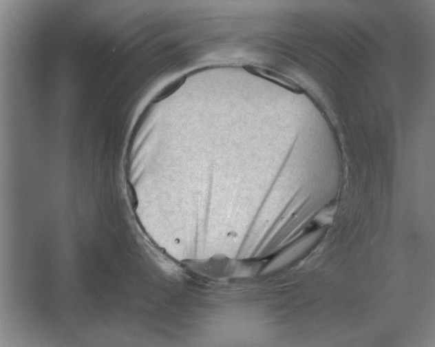 X0000062171344200512301635