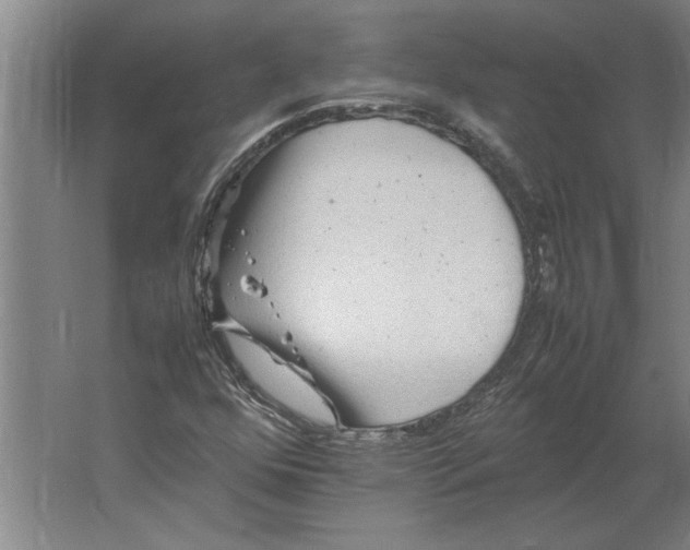 X0000062171352200512301634