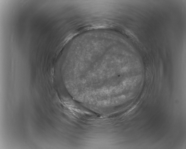 X0000062171353200512301634