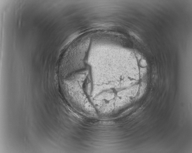 X0000062171354200512301634