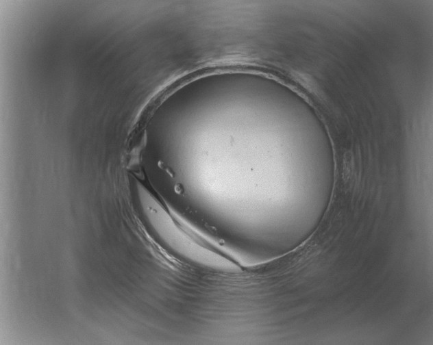 X0000062171356200512301634