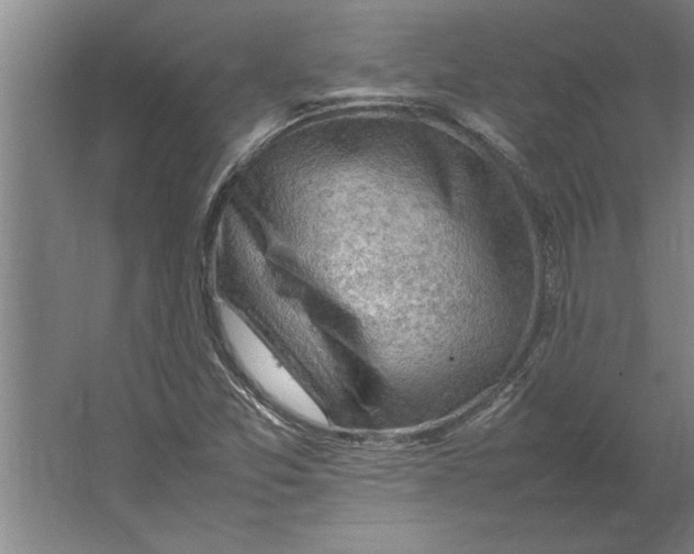 X0000062171357200512301634