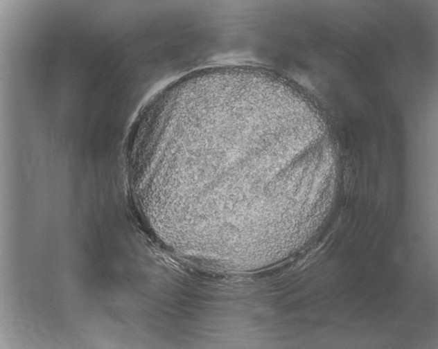 X0000062171358200512301634