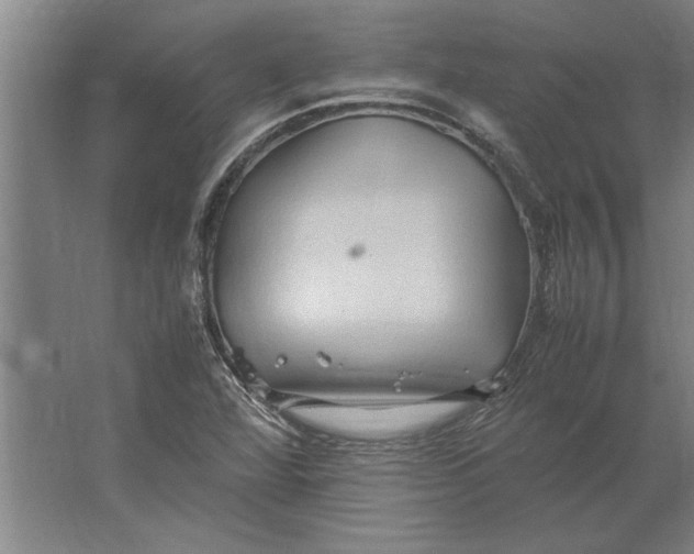 X0000062171360200512301634