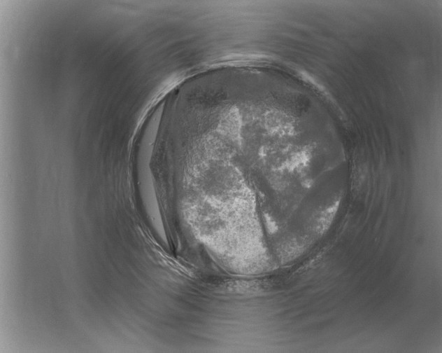 X0000062171362200512301634